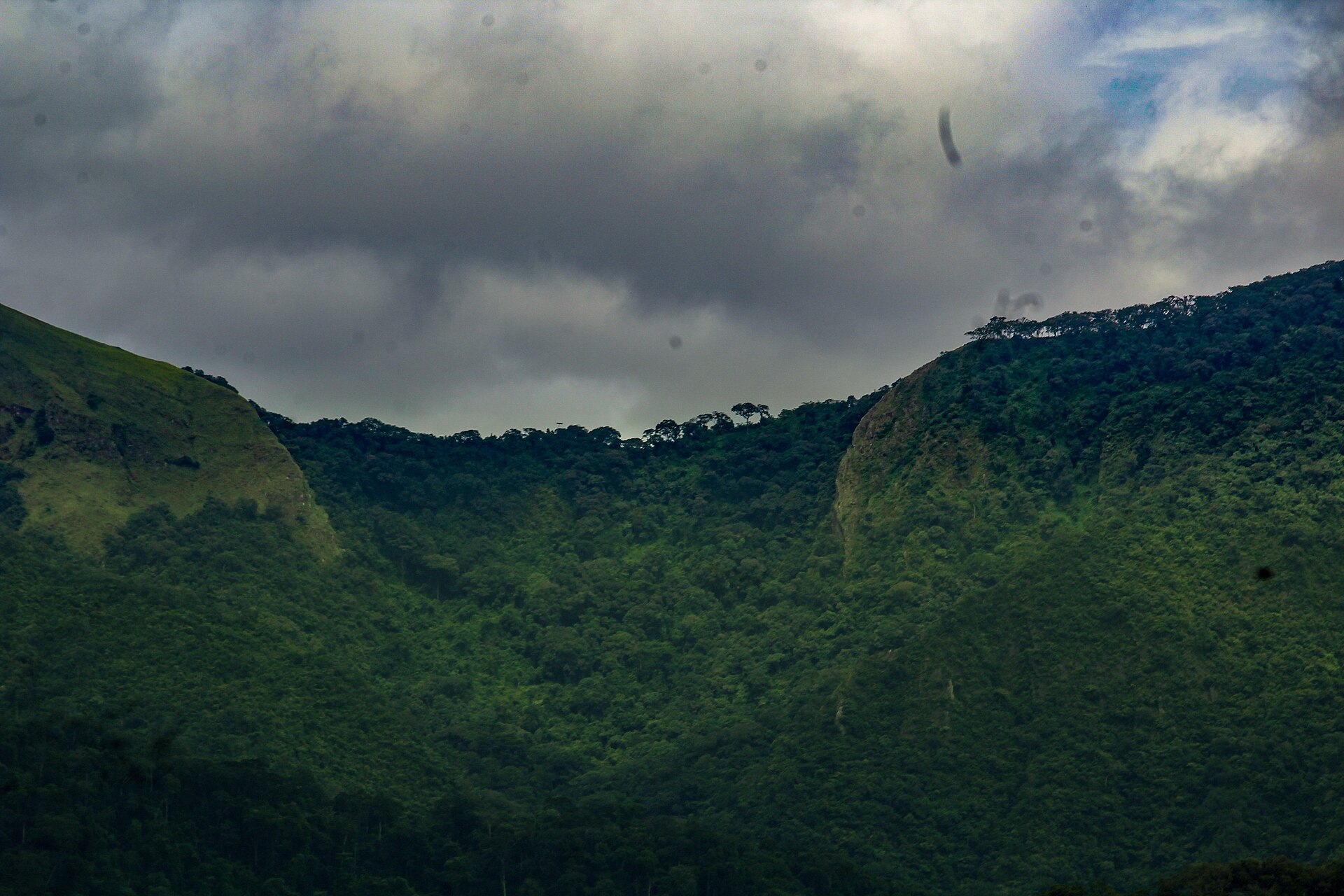 Le mont Nimba