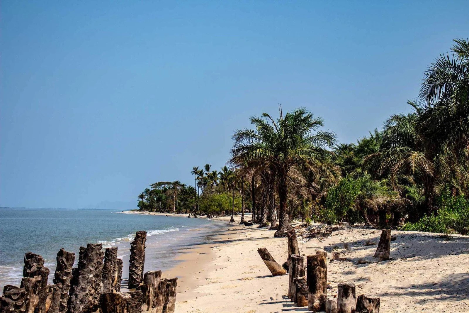 Le rivage de Tayaki
