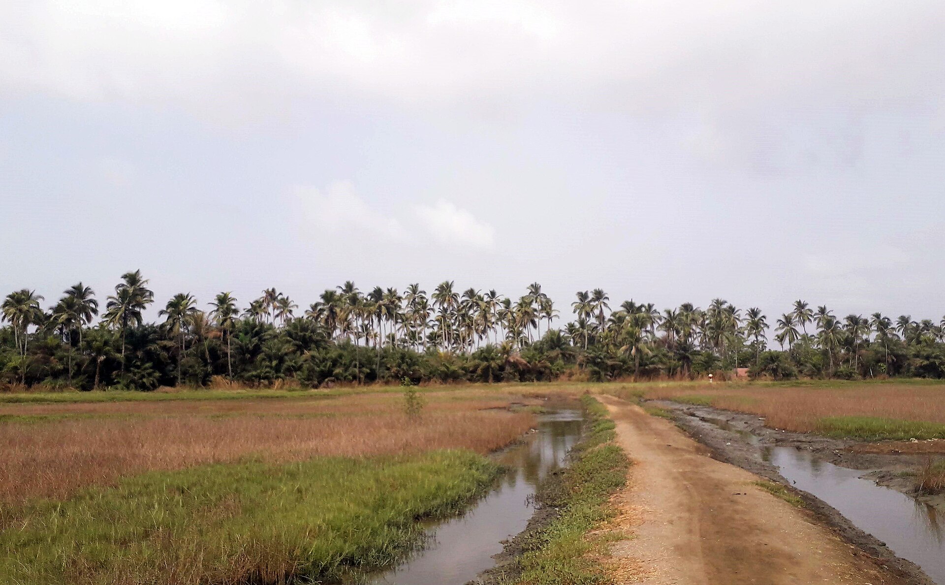 Le sentier qui mène à la plage de Tayaki