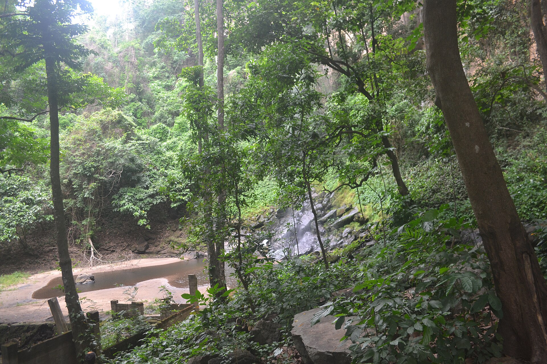 La forêt autour du Voile de la Mariée
